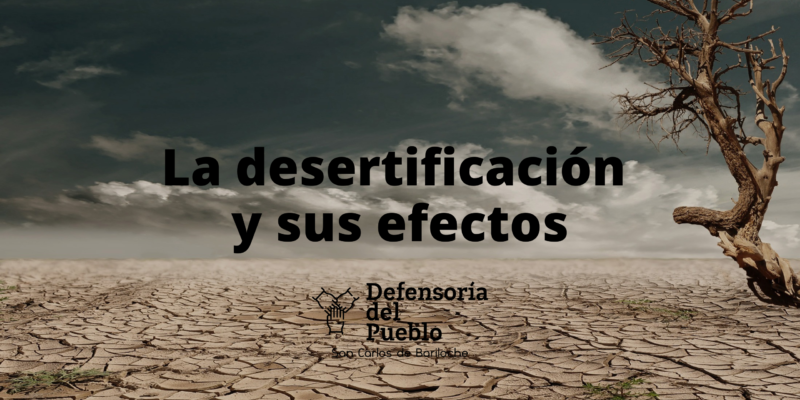 efectos de la desertificacion